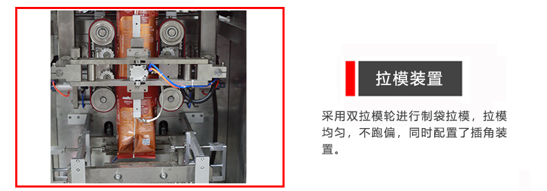 拉模制袋装置